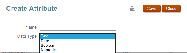 Introduzca el nombre y el tipo de datos para crear un nuevo atributo personalizado.