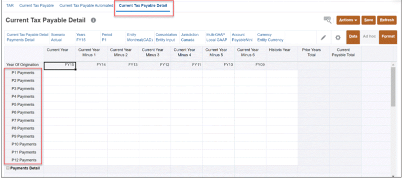 Current_Tax_Payable_Detail_Form