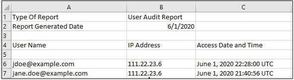 Esempio di report Audit utente