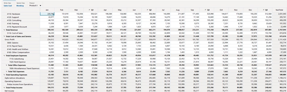 Immagine che mostra gli stili di cella Web applicati a un griglia dati di runtime Web