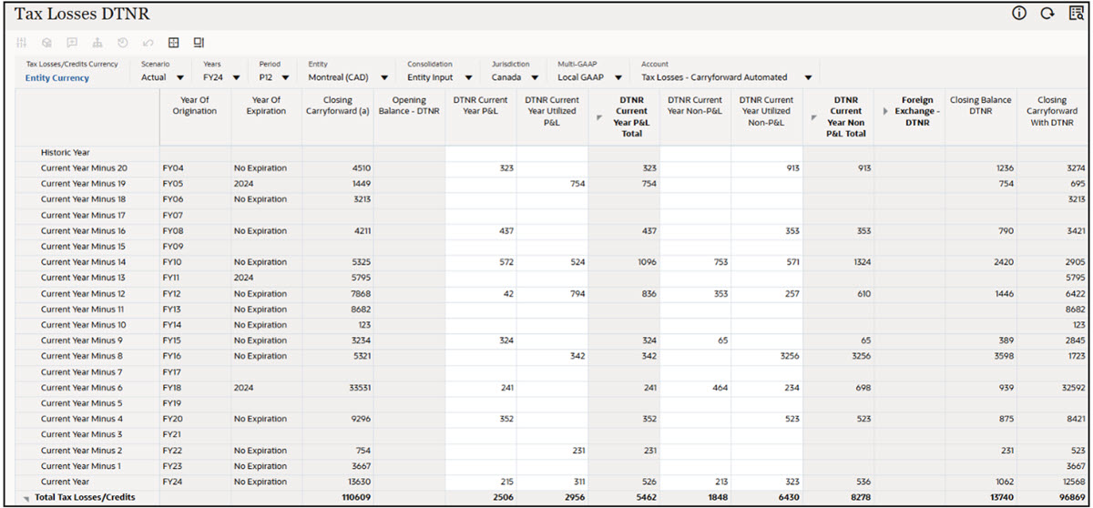 「課税損失DTNR」フォーム