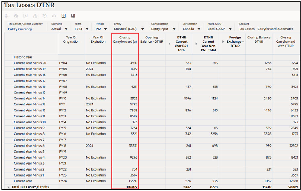 ユース・ケース例: 「課税損失DTNR」フォーム