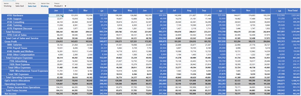 Imagem mostrando um formulário em tempo de execução na Web com estilos personalizados aplicados