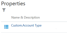 显示“属性”页面中的 Custom.Account Type 名称。