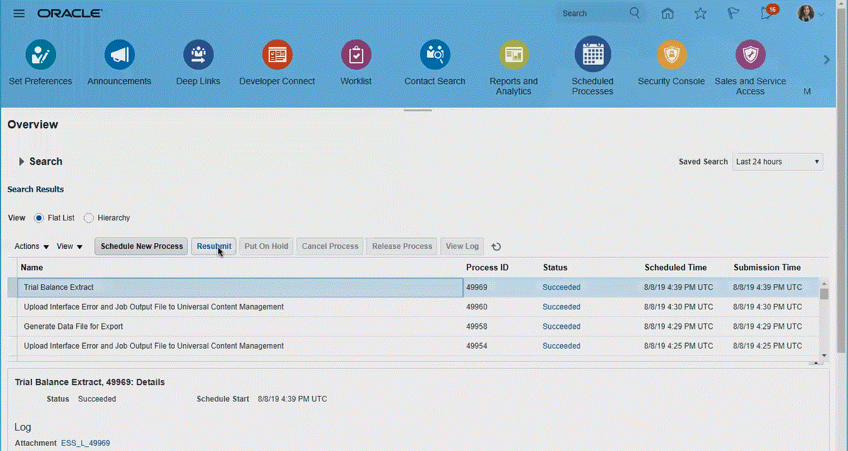 图像显示了在“概览”页中重新提交报表。