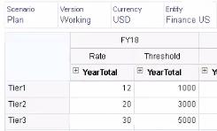 显示 3 个税率层的单元格屏幕截图