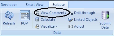 Essbase 功能区中的“查看注释”命令
