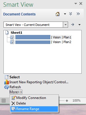 显示了已选择 Vision Plan1 网格的“文档内容”窗格，其中的菜单已展开，显示了已选择“重命名范围”命令。