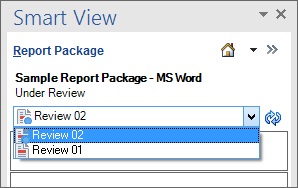 显示了内容选择器中的可用选项；在此示例中，Review 01 和 Review 02 可用。