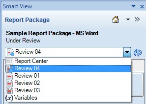 Smart View 面板中的内容选择器，其中显示 Review 04 处于选定状态。