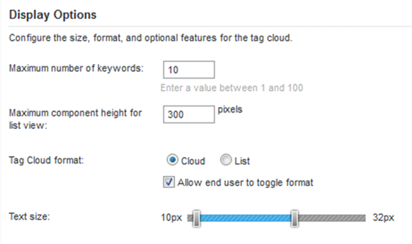 Display Options tab on the Tag Cloud edit view