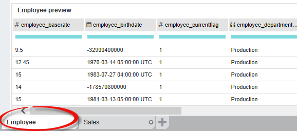 Shows two data set tabs at the bottom of a project with Employee circled.