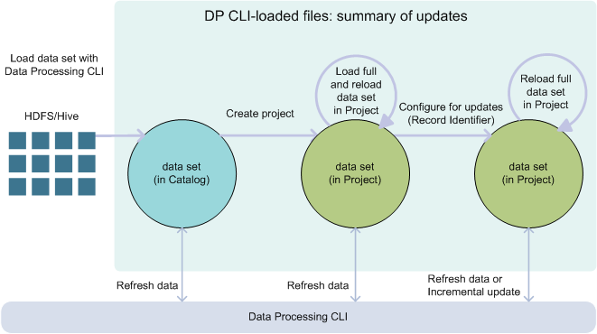 This diagram provides a summary of data loading and update options for data sets that are loaded into BDD via Data Processing CLI.