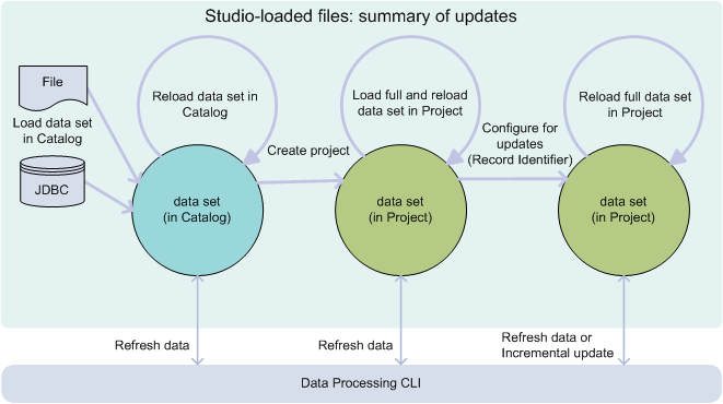 This diagram provides a summary of data loading and update options for data sets that are loaded into BDD via Studio's file upload.