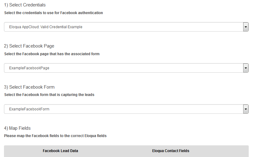An image of the Facebook Leads Ads App Configuration window.