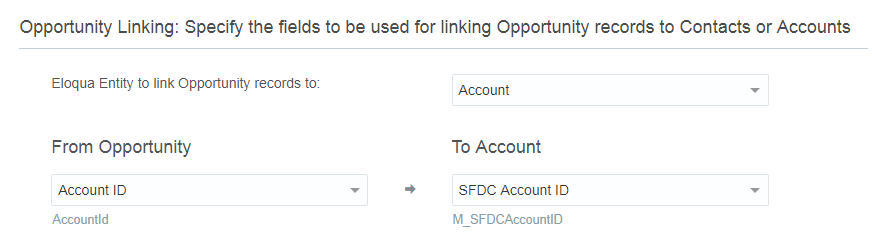 Image of the Create Import page showing the Opportunity Linking section
