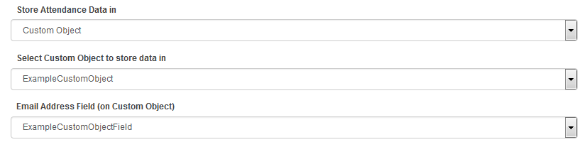 An image of the configuration for storing data in a custom object.