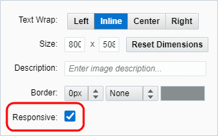 An image of the Rich Text Image Editor with the Responsive setting selected