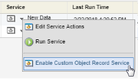 An image of the Manage Service page highlighting the Enable Custom Object Record Service option
