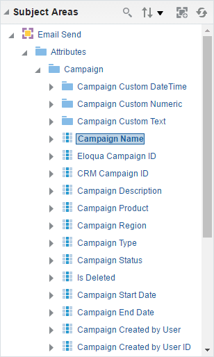 This image shows some of the the Subject Areas available for this report