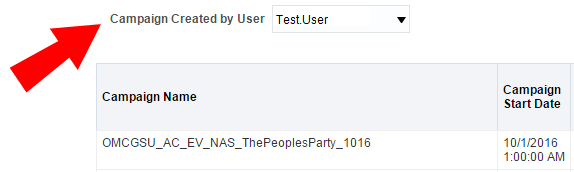 An image showing a report column that has been moved to a prompt