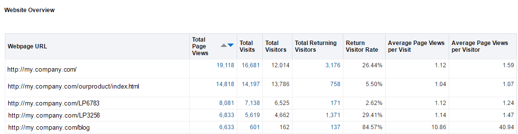 An image of the Website Overview report
