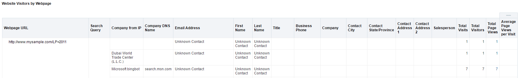 An image of the Website Visitors by Webpage report.