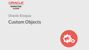 An image of the Custom Objects Thumbnail