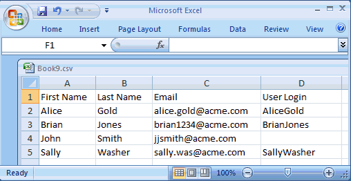Description of the Microsoft Excel File follows