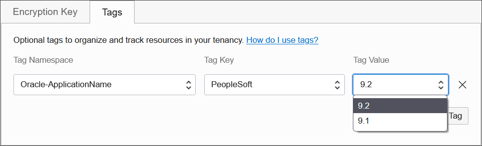 Entsprechenden Anwendungstagschlüssel im Tag-Namespace "Oracle-ApplicationName" festlegen. Entsprechenden Anwendungstagschlüssel im Tag-Namespace "Oracle-ApplicationName" festlegen.