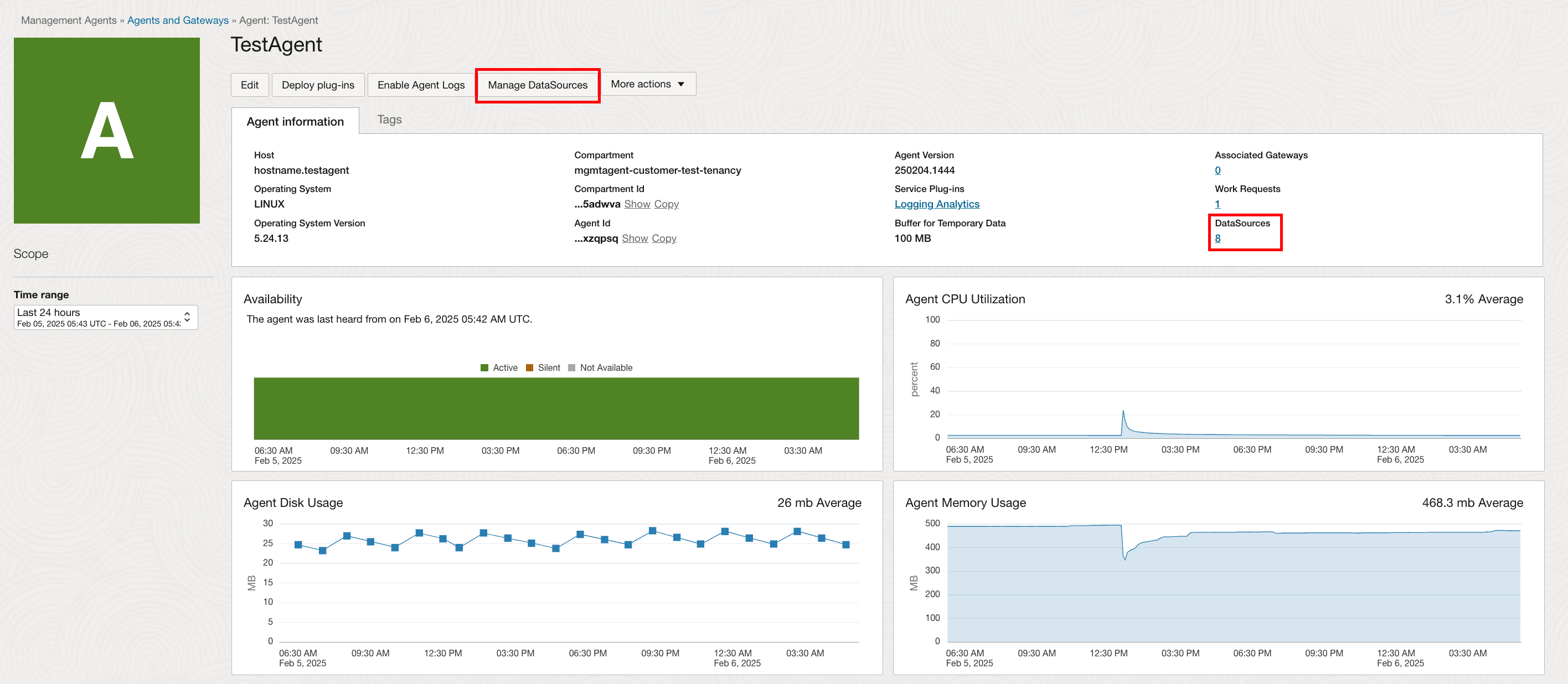 Seite "Agent-Details" mit Informationen zu einem installierten Management-Agent.