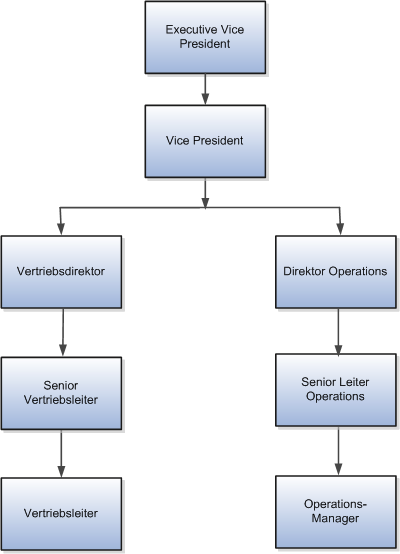 Die Abbildung veranschaulicht die Stellenhierarchie für Vision Corporation.