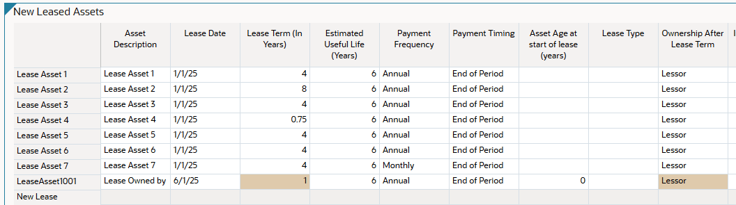Eigentums- und Leasinglaufzeit festlegen