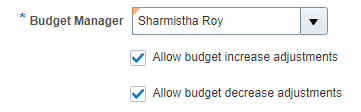 Budgetmanager