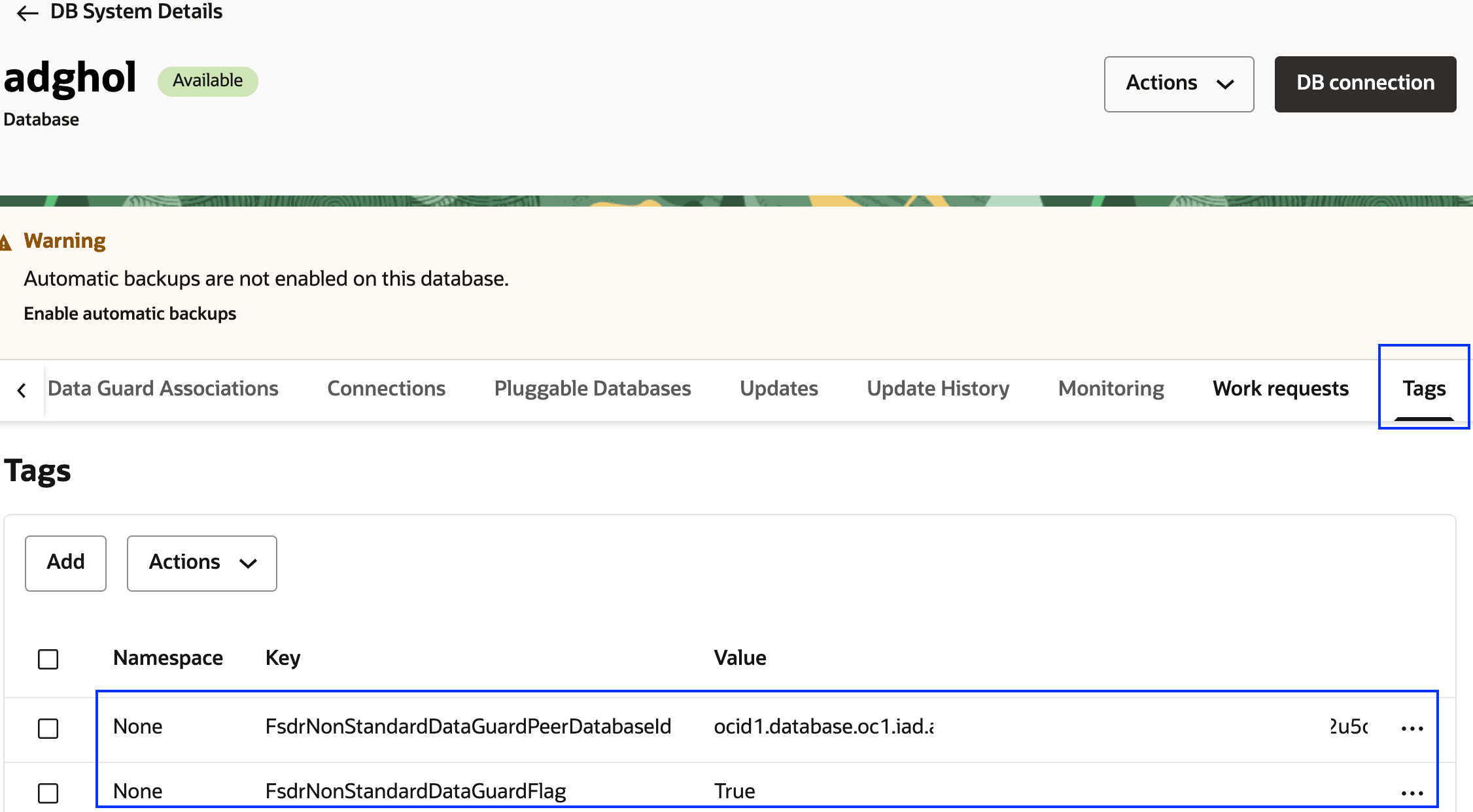 phx-db-dataguard-Tags