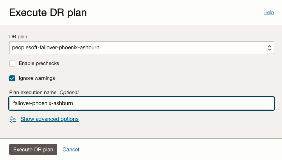 Disaster-Recovery-Plan ausführen 