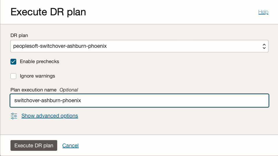 Disaster-Recovery-Plan ausführen 
