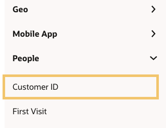Beispiel für den benutzerdefinierten Parameter "Kunden-ID" in der Benutzeroberfläche für Aktionen