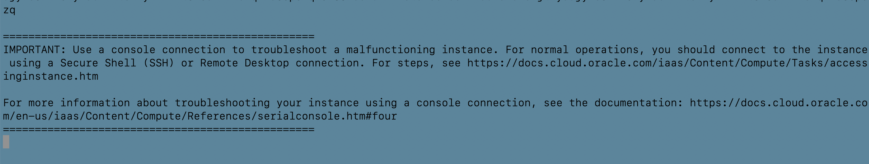 run_terminal_vnc_command