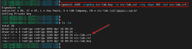 Ihr selbstsigniertes Zertifikat generieren