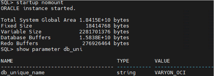 Nomount-Datenbank mit spfile hochfahren
