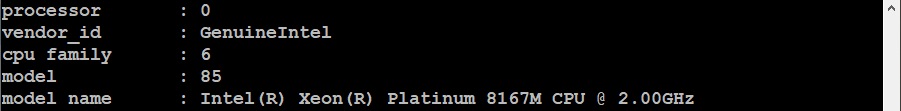 CPU-Info-Ausgabe