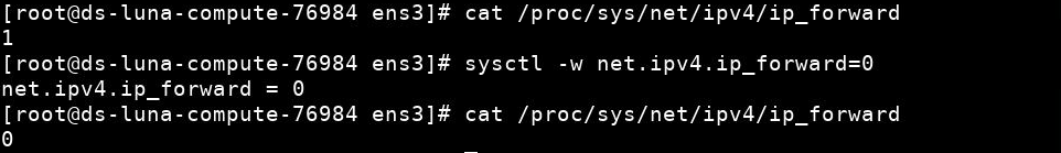 sysctl-Ausgabe