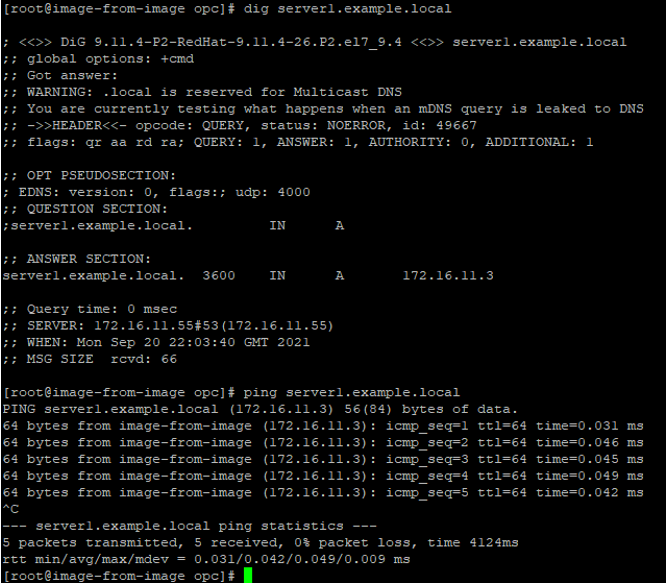 Lokaler On-Premise-DNS-Test
