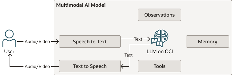 Beschreibung von multimodal-voice-agents.png folgt
