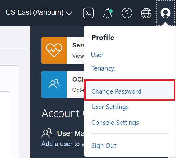 This screenshot shows the Change Password link on the user menu