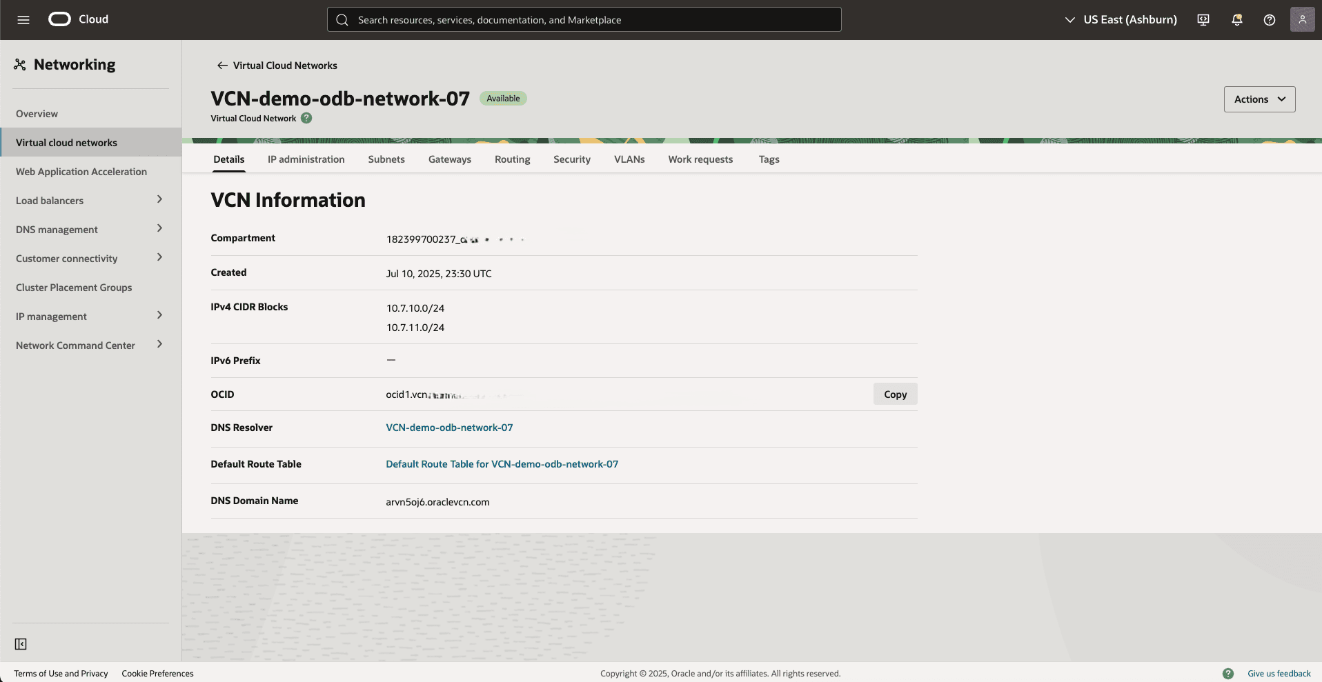 This screenshot shows how to obtain DNS resolver link.