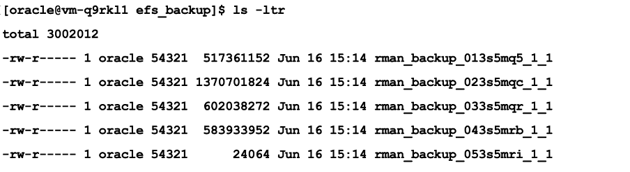This screenshot shows how to verify RMAN backups are stored on EFS.