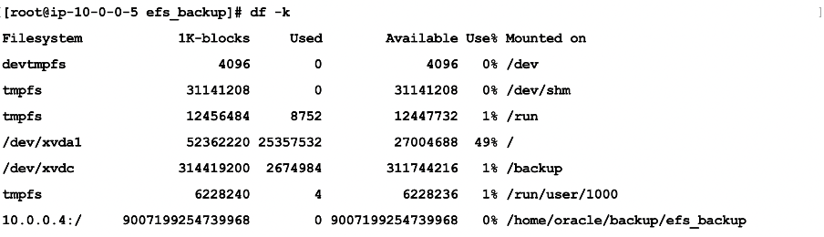 This screenshot shows how to verify the mount.
