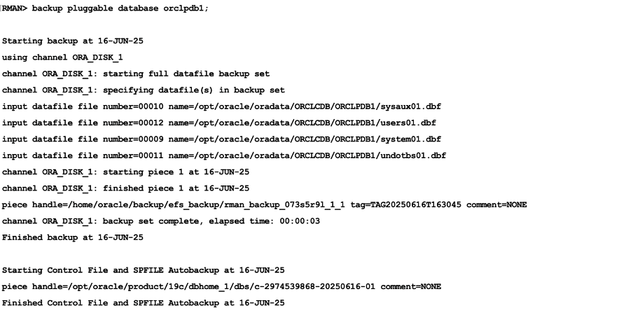 This screenshot shows how to run RMAN.